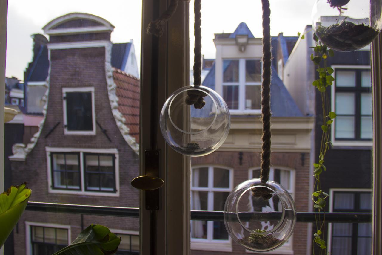 Attic Monkeys Lodge Amsterdam Eksteriør billede